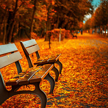 DDOS在线攻击平台